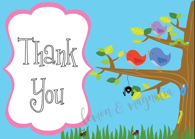 Birds and Bugs Thank You Notecards