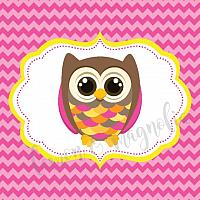Pink Chevron Owl Birthday Banner