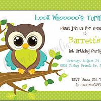 Lime Polka Dot Owl Birthday Invitation