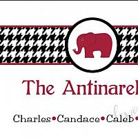 Roll Tide Houndstooth with Elephant Personalized Calling Card